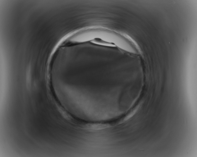 X0000085301077200703301955