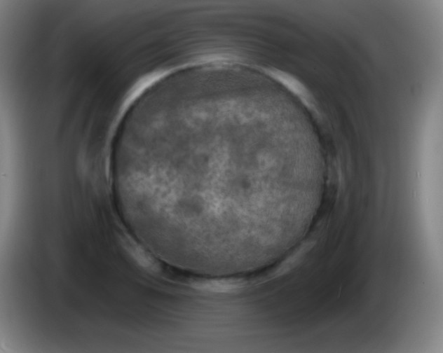 X0000085301078200703301955