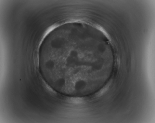 X0000085301079200703301955