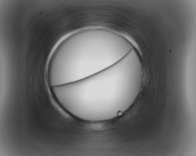 X0000085301080200703301955