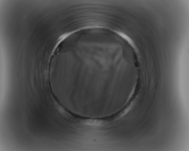 X0000085301081200703301955