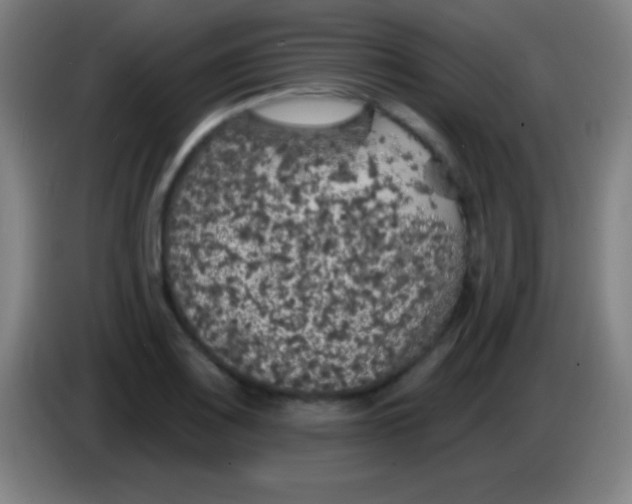 X0000085301083200703301955