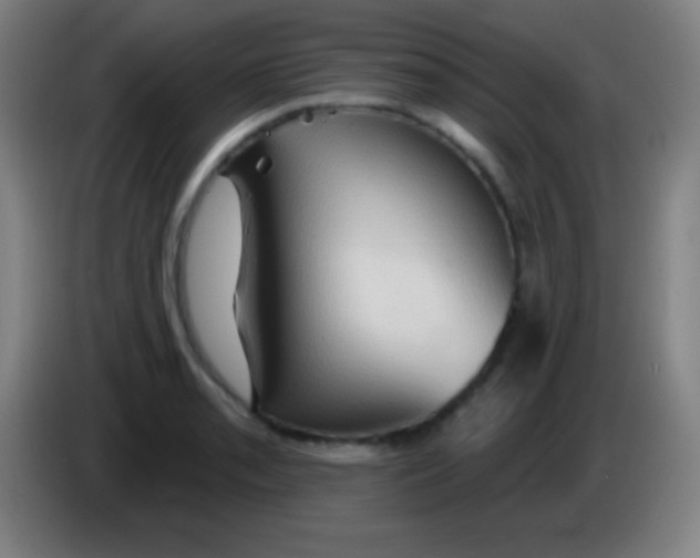 X0000085301085200703301955