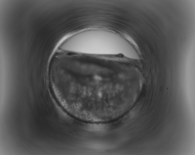 X0000085301087200703301955