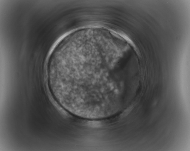 X0000085301088200703301955