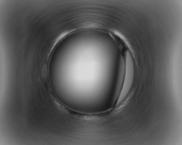 X0000085301089200703301955