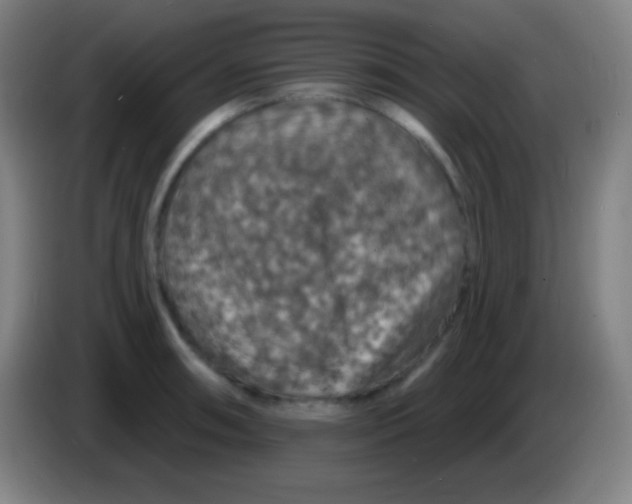 X0000085301090200703301955