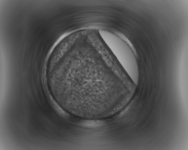 X0000085301091200703301955