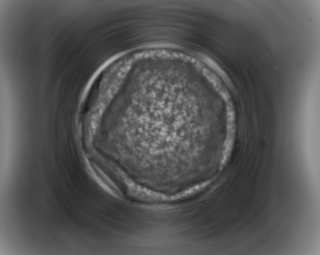 X0000085301092200703301955