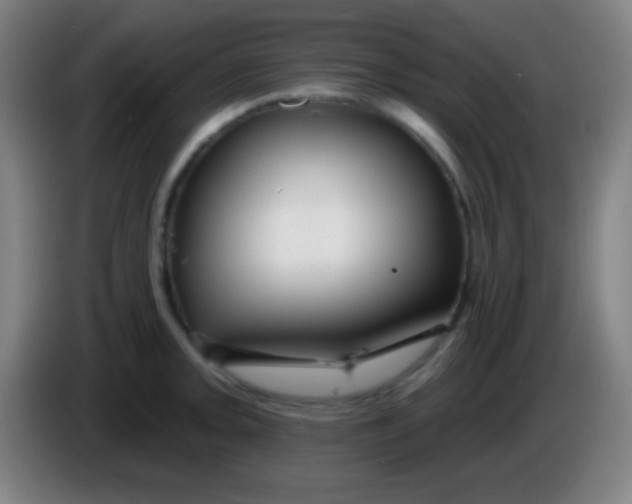 X0000085301093200703301954