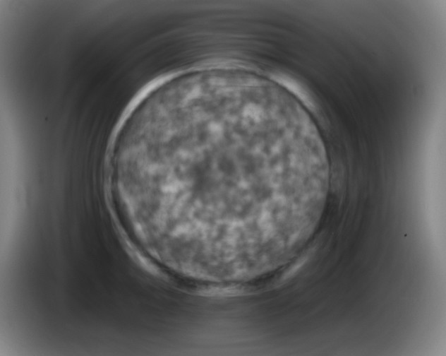 X0000085301094200703301954