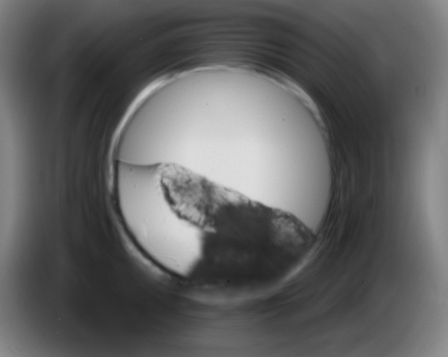 X0000085301095200703301954