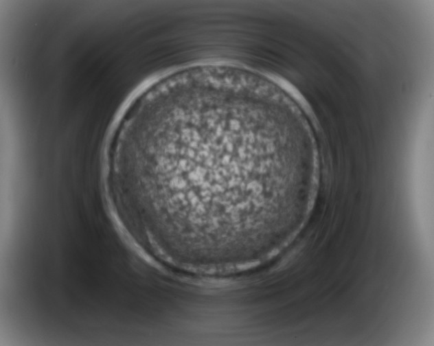 X0000085301096200703301954