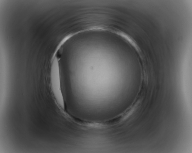 X0000085301097200703301954