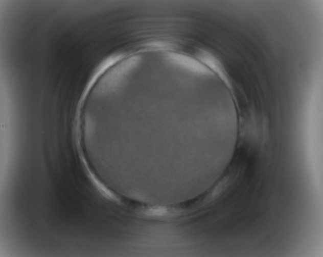 X0000085301098200703301954