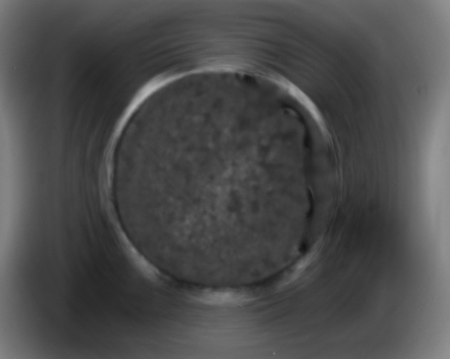 X0000085301099200703301954