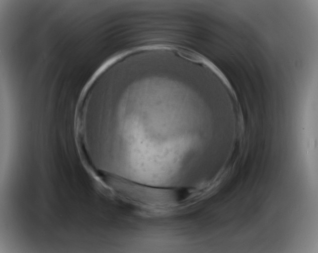 X0000085301101200703301954