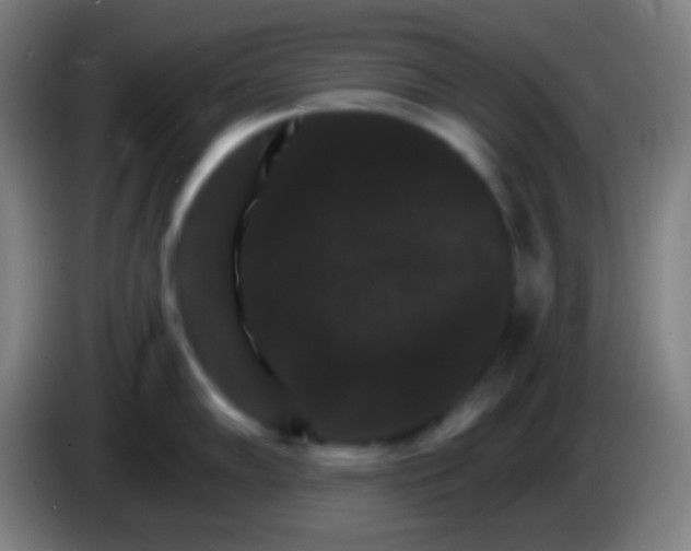 X0000085301102200703301954