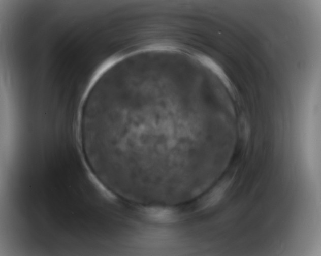 X0000085301103200703301954