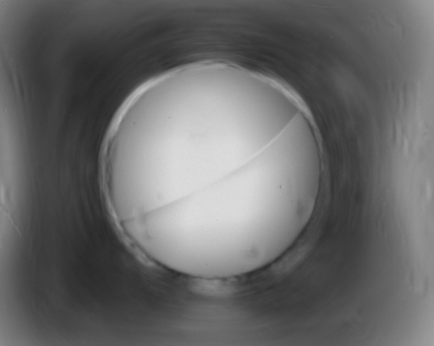 X0000085301104200703301954