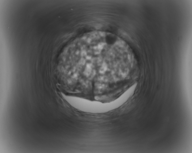 X0000085301105200703301954