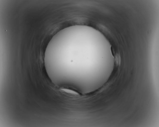 X0000085301107200703301954