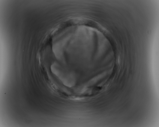 X0000085301108200703301954