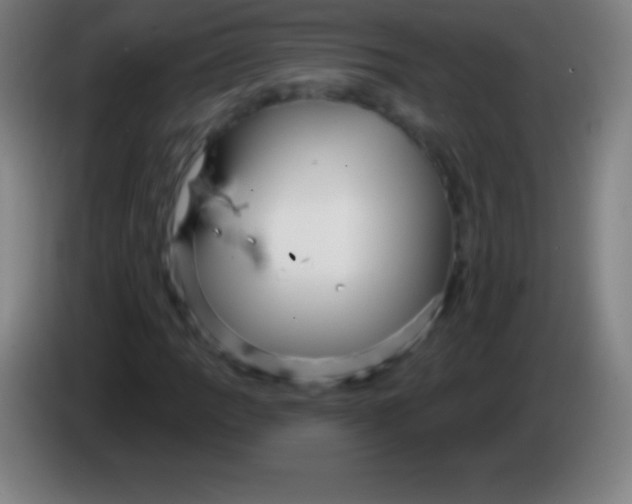 X0000085301109200703301954