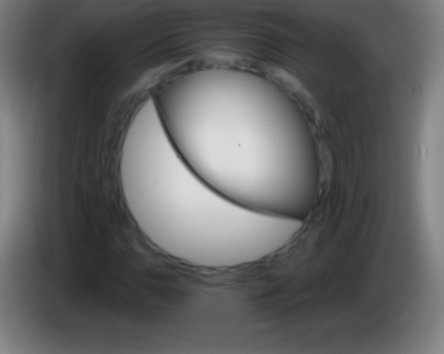 X0000085301110200703301954