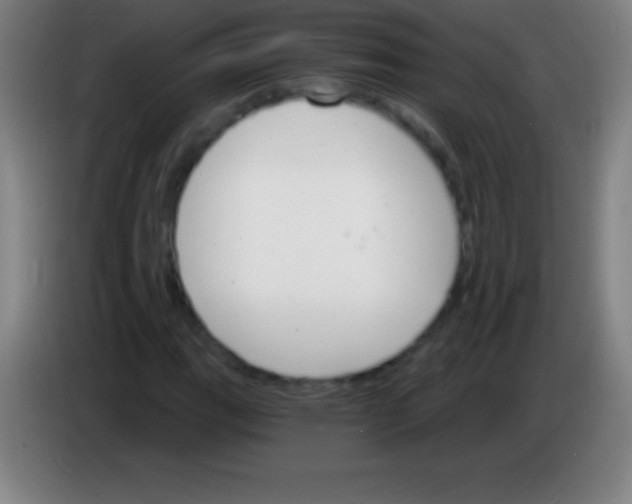 X0000085301111200703301954