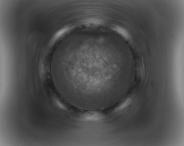 X0000085301112200703301954