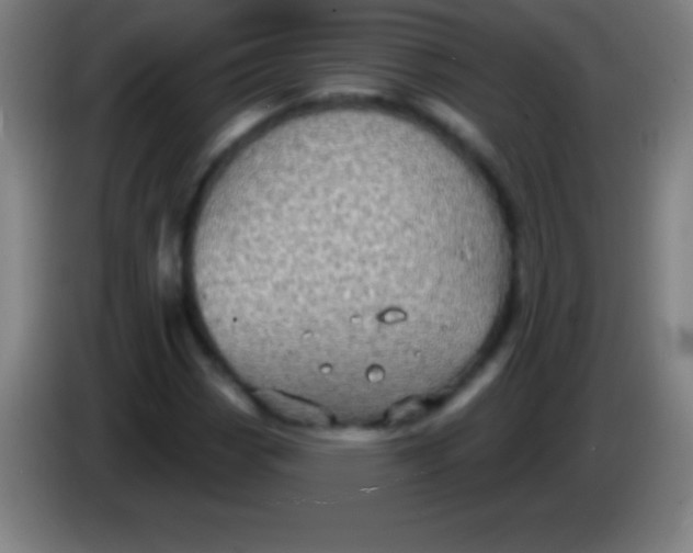 X0000085301113200703301954