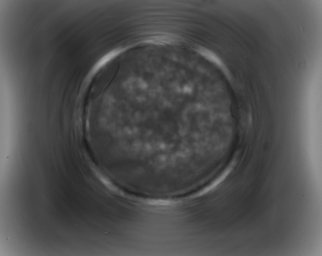 X0000085301114200703301954