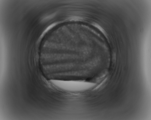 X0000085301115200703301954