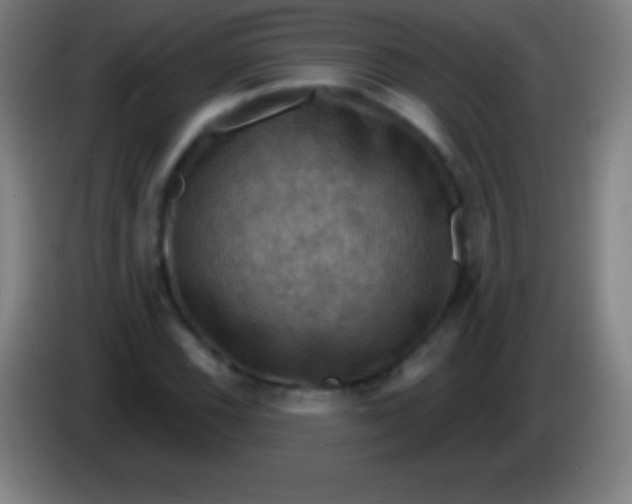 X0000085301116200703301954