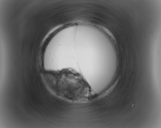 X0000085301117200703301954