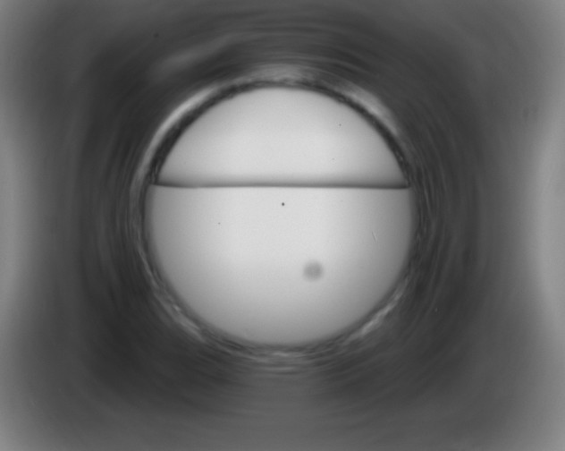 X0000085301119200703301954