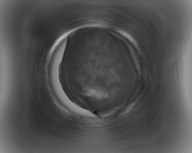 X0000085301120200703301954