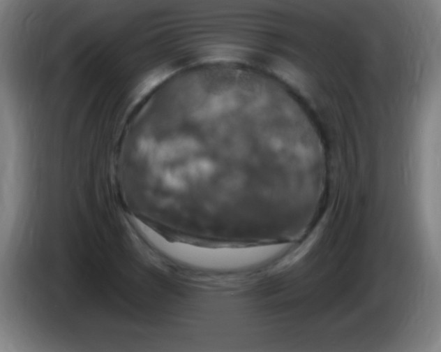 X0000085301121200703301954