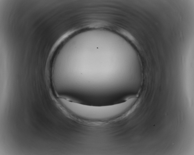 X0000085301122200703301954