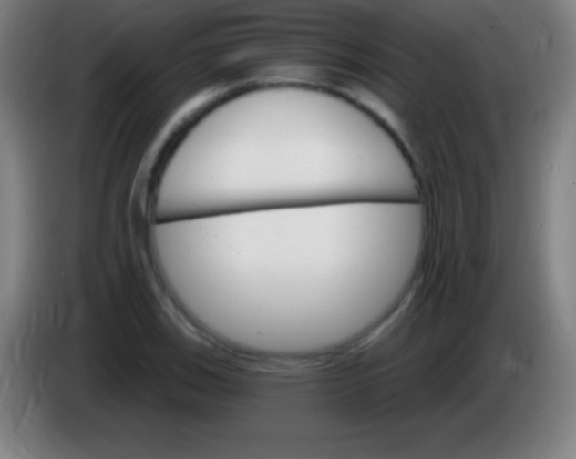 X0000085301123200703301954