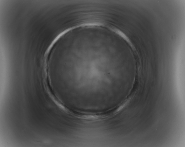 X0000085301124200703301954