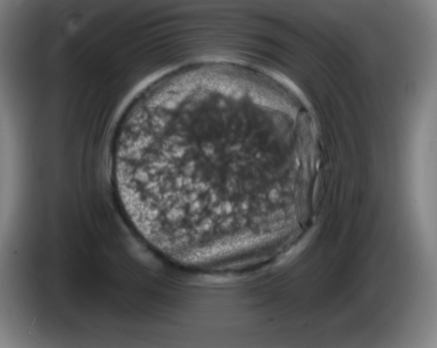 X0000085301125200703301954