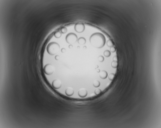 X0000085301126200703301954