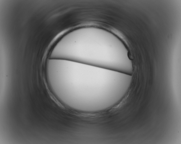 X0000085301127200703301954