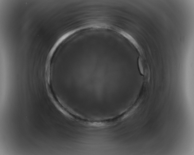 X0000085301128200703301954