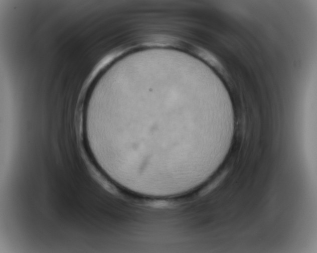 X0000085301130200703301954