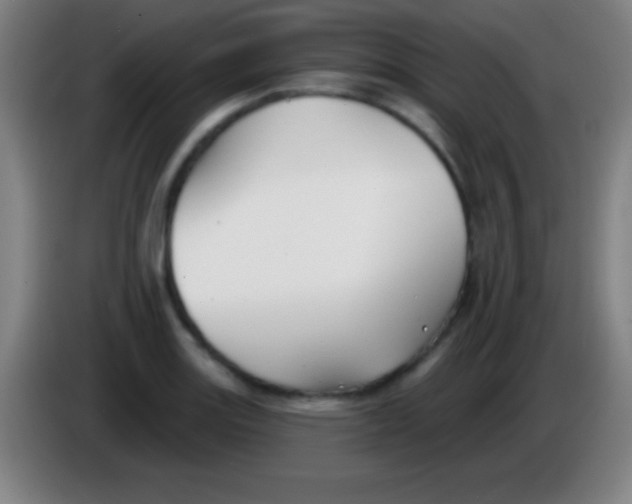 X0000085301131200703301954