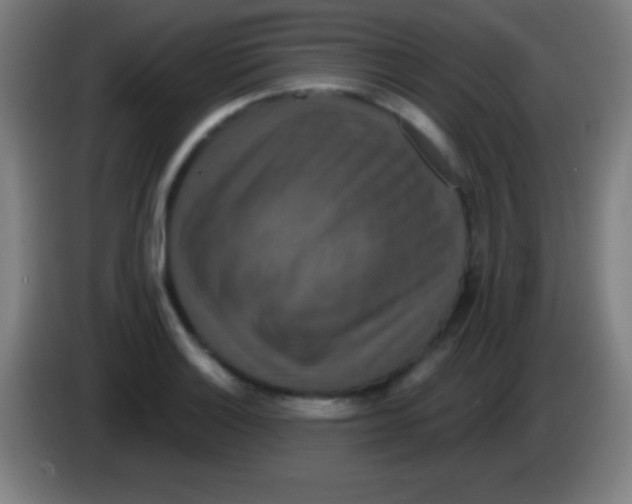 X0000085301132200703301954