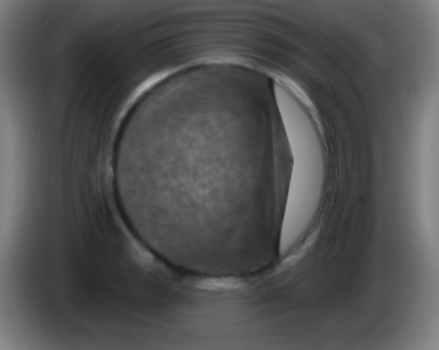 X0000085301133200703301954